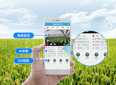 現(xiàn)代農業(yè)生產中農業(yè)氣象站的作用與智能農業(yè)管理的未來