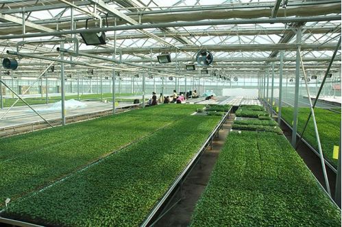 鄉(xiāng)村巧搭數(shù)字快車 智能農(nóng)業(yè)管理助力鄉(xiāng)村振興