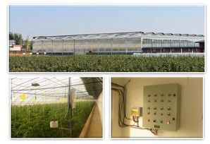 為了農(nóng)業(yè)理想銷毀400萬農(nóng)產(chǎn)品 元真梨背后的智能農(nóng)業(yè)探索