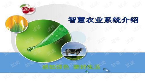 智慧農(nóng)業(yè)智能化系統(tǒng)建設方案與管理軟件文檔解析