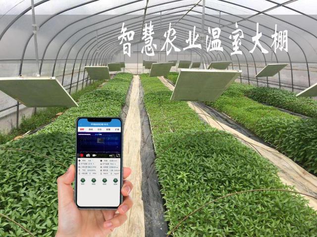 智慧農(nóng)業(yè)解決方案系統(tǒng)概述（二） 農(nóng)業(yè)數(shù)字化與智能化升級