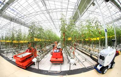 點點手機就能管理大棚，濰坊壽光以數字化賦能蔬菜產業升級