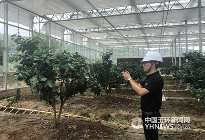 智能農業 告別“看天吃飯”，開啟“智慧動腦”新紀元